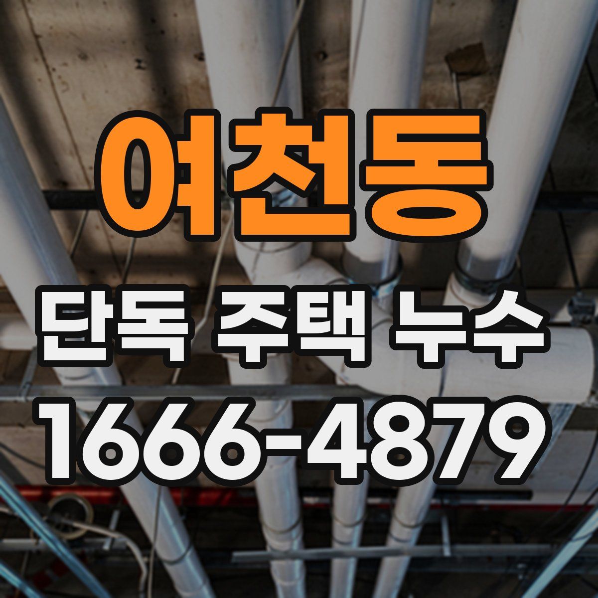 여천동 단독 주택 누수