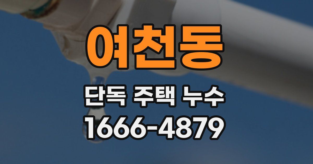 여천동 단독 주택 누수