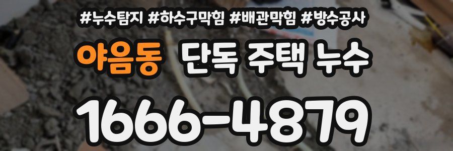 야음동 단독 주택 누수