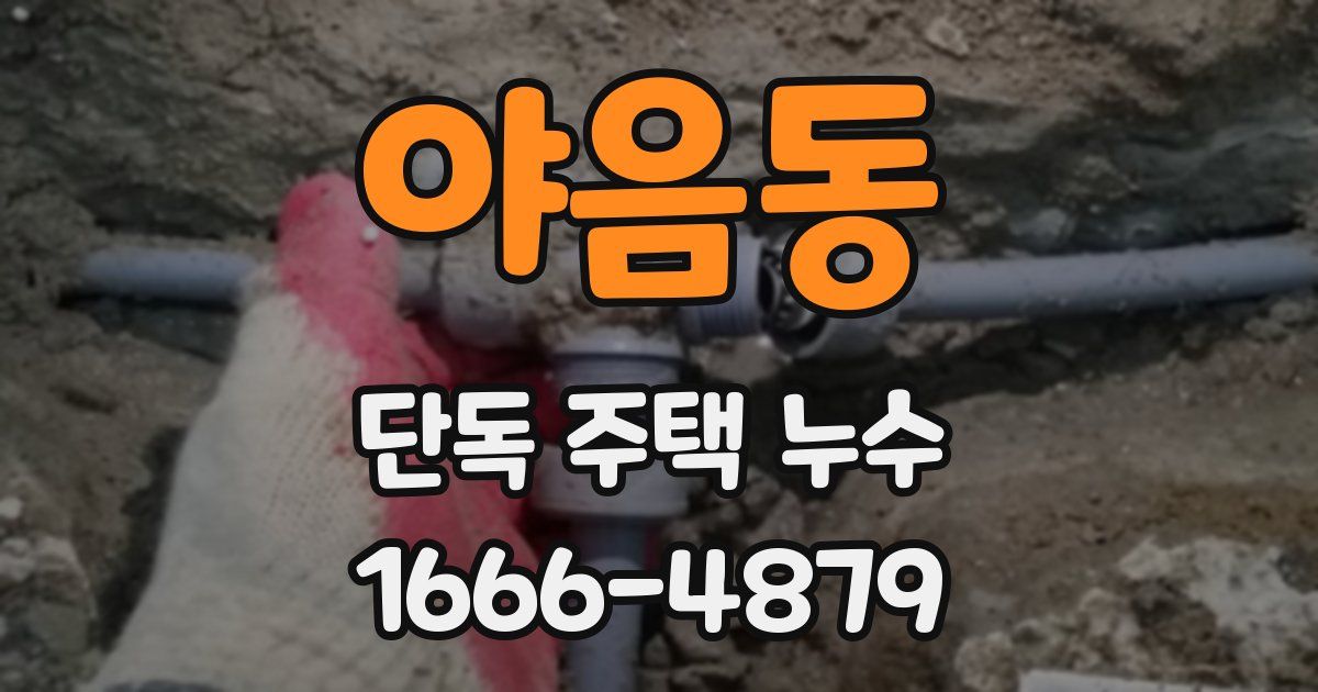 야음동 단독 주택 누수