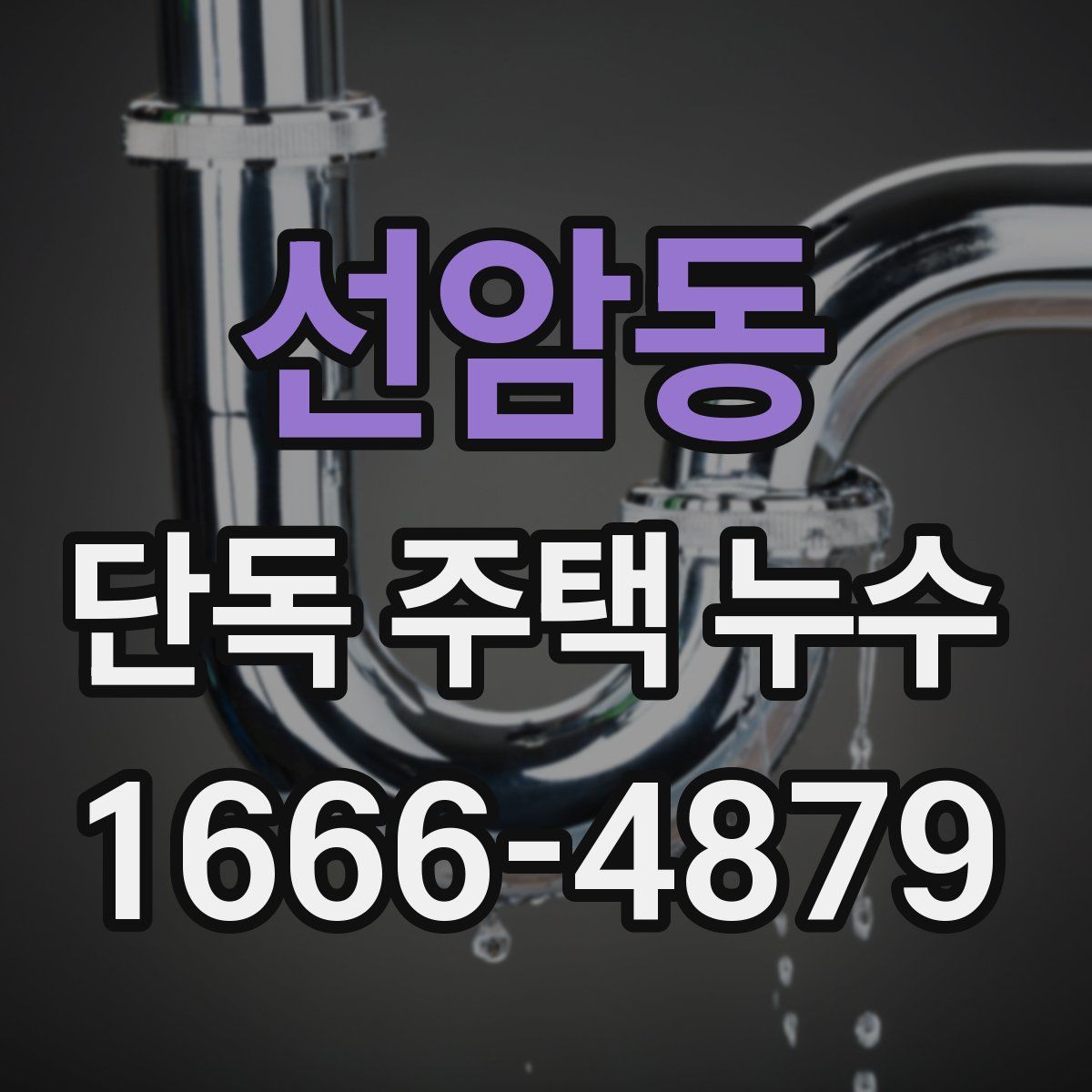 선암동 단독 주택 누수