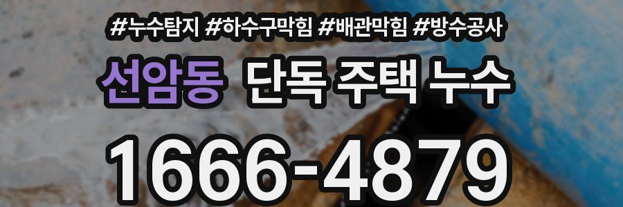 선암동 단독 주택 누수