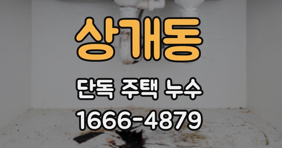 상개동 단독 주택 누수