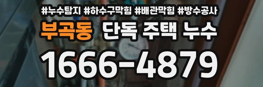 부곡동 단독 주택 누수