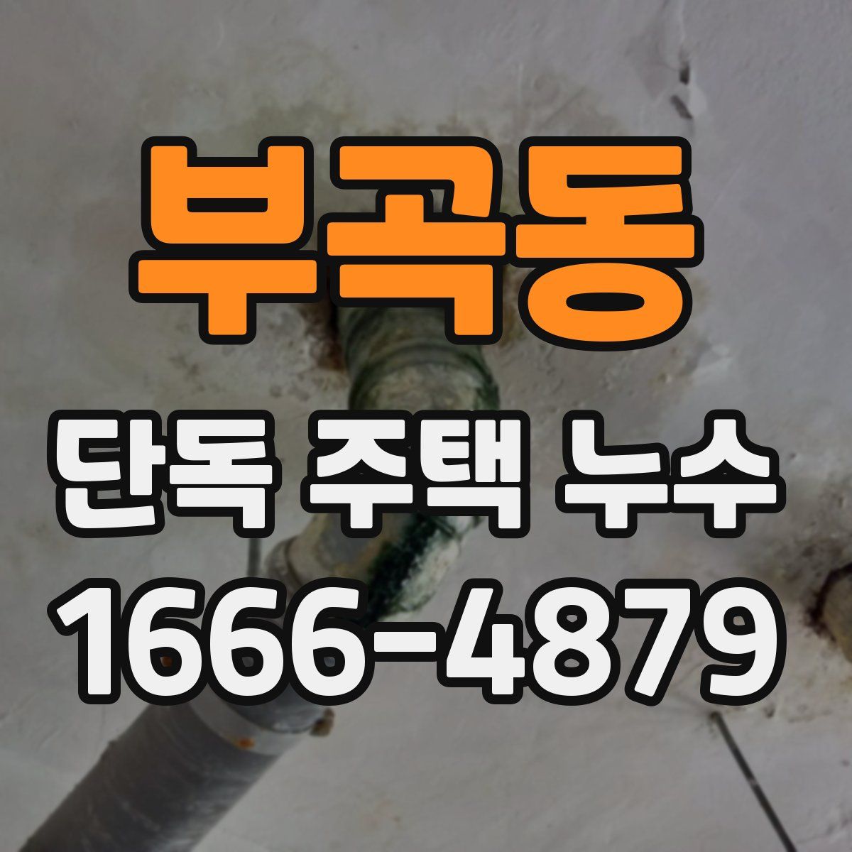 부곡동 단독 주택 누수
