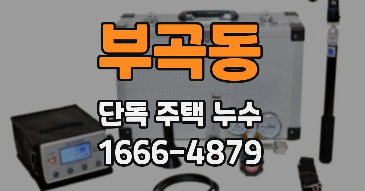 부곡동 단독 주택 누수