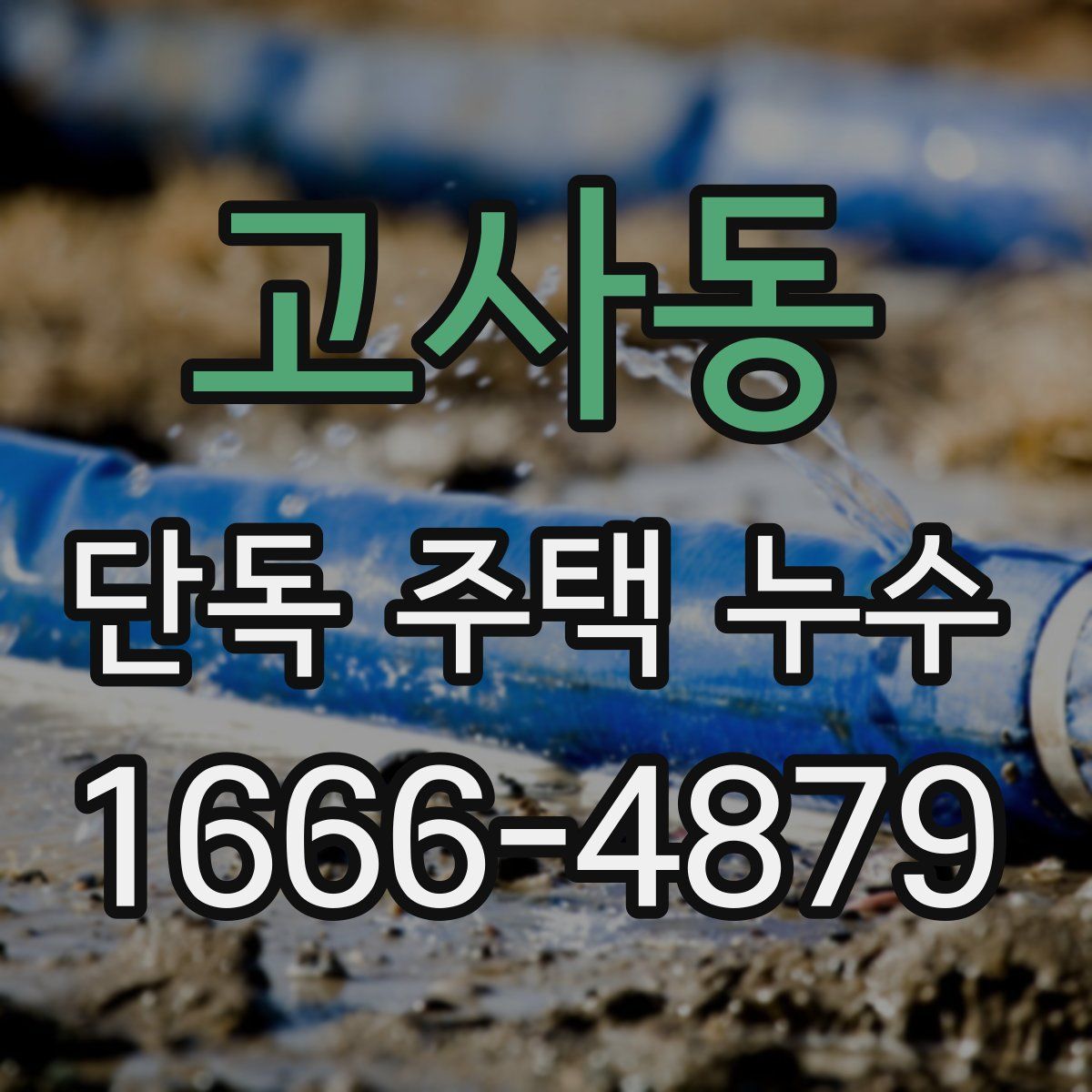 고사동 단독 주택 누수