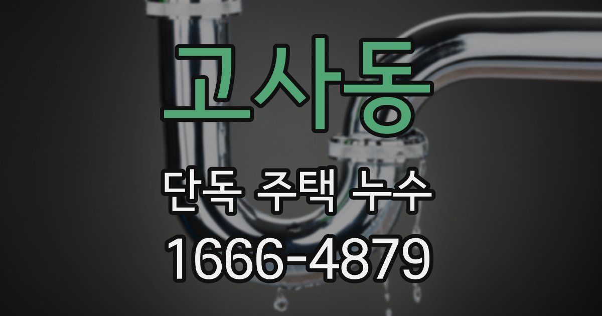 고사동 단독 주택 누수