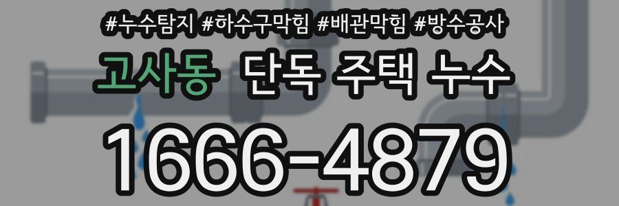 고사동 단독 주택 누수