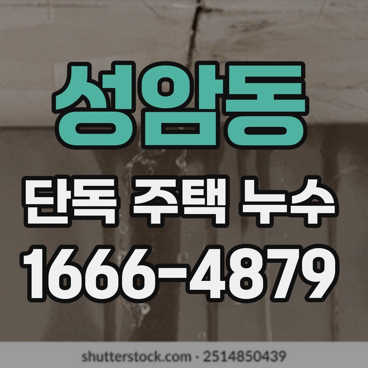 성암동 단독 주택 누수