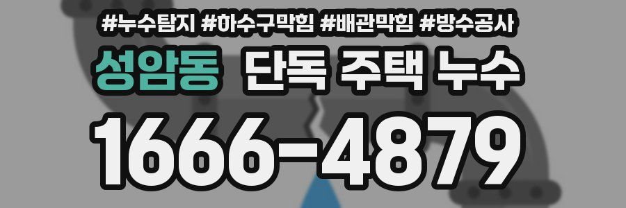 성암동 단독 주택 누수