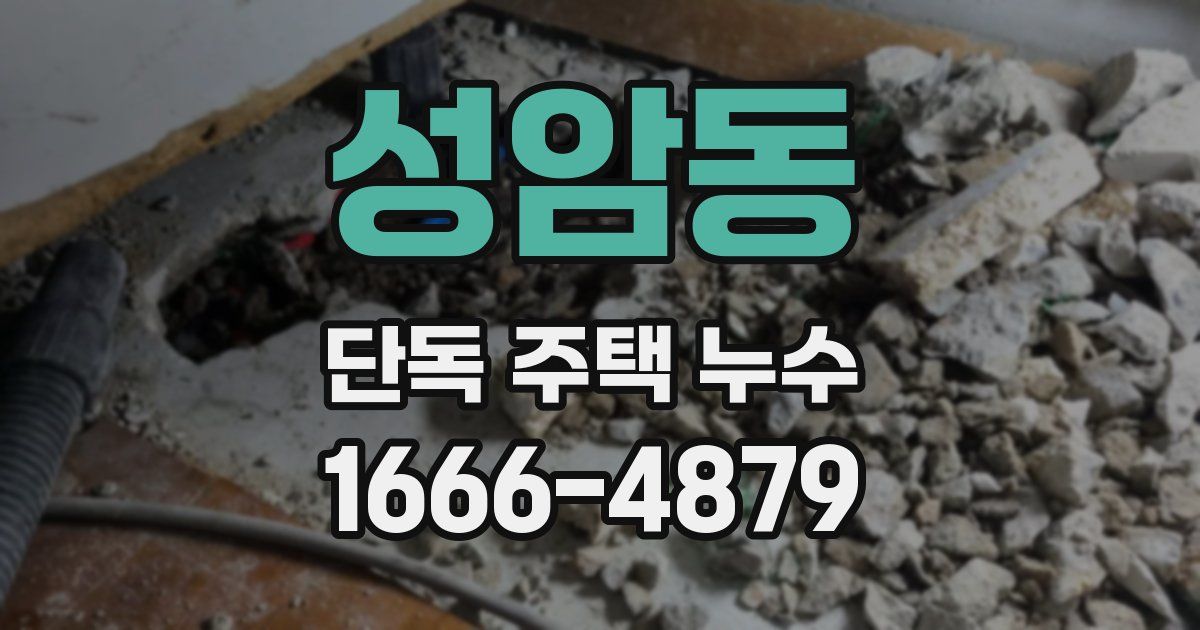성암동 단독 주택 누수