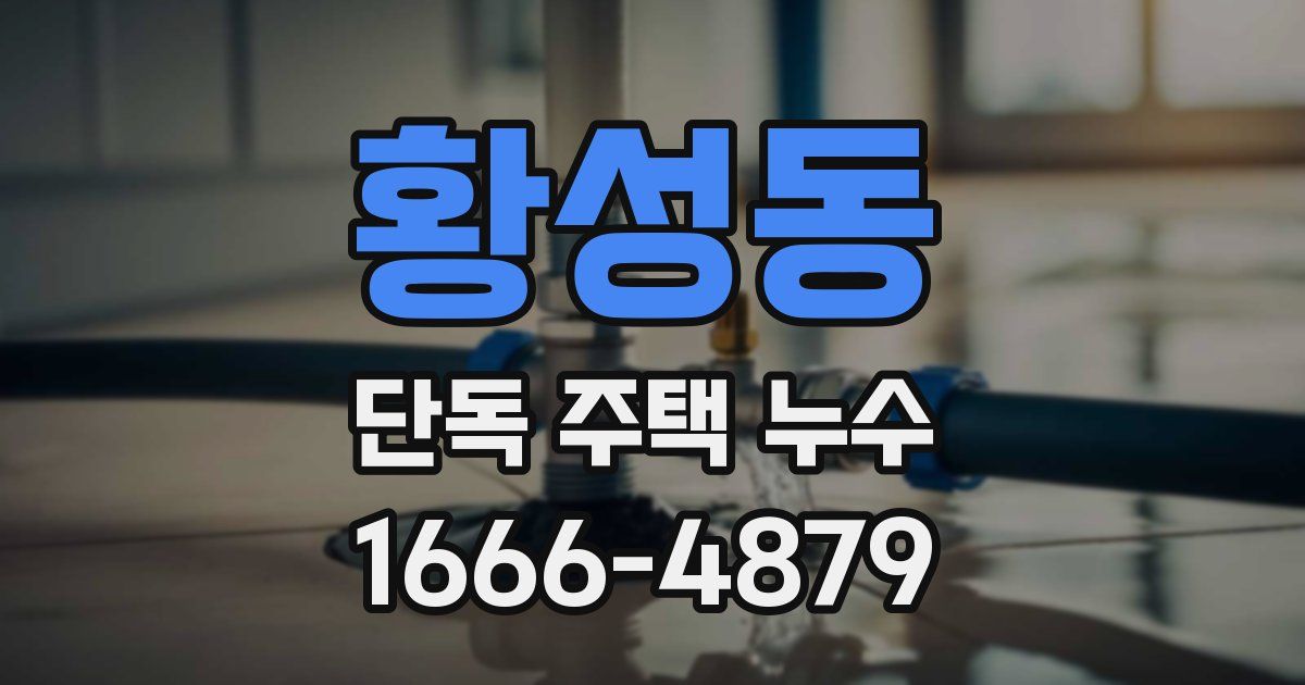 황성동 단독 주택 누수