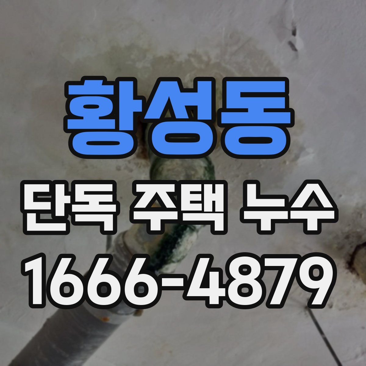 황성동 단독 주택 누수