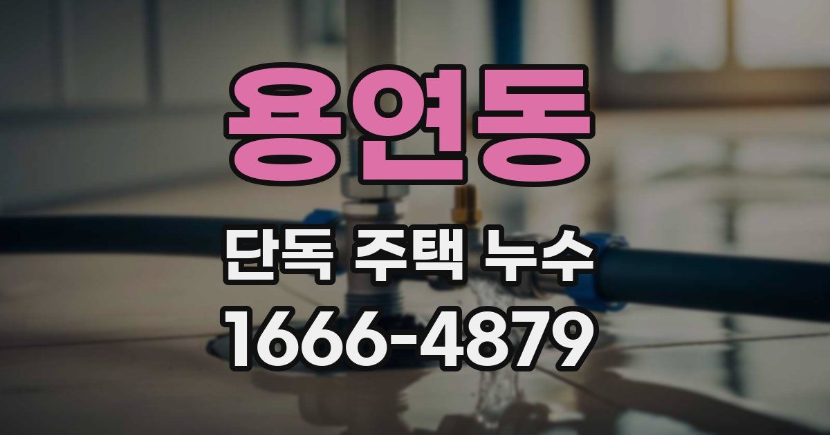 용연동 단독 주택 누수