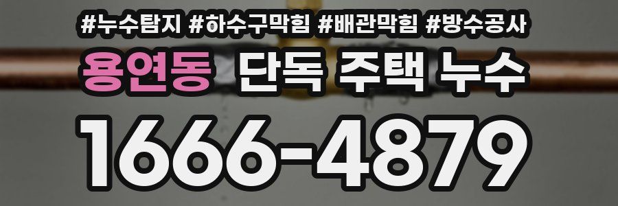 용연동 단독 주택 누수