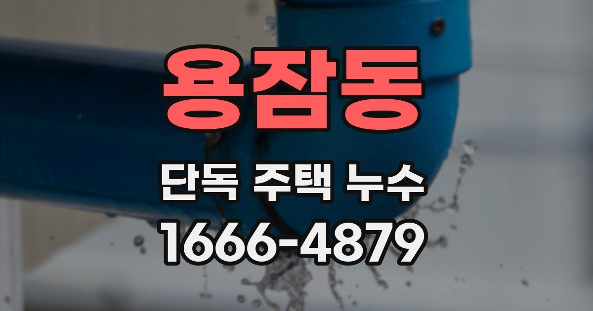 용잠동 단독 주택 누수