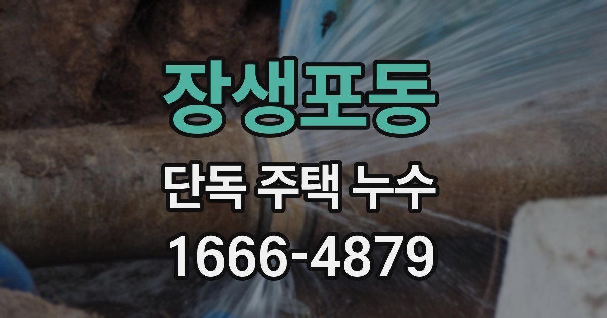 장생포동 단독 주택 누수