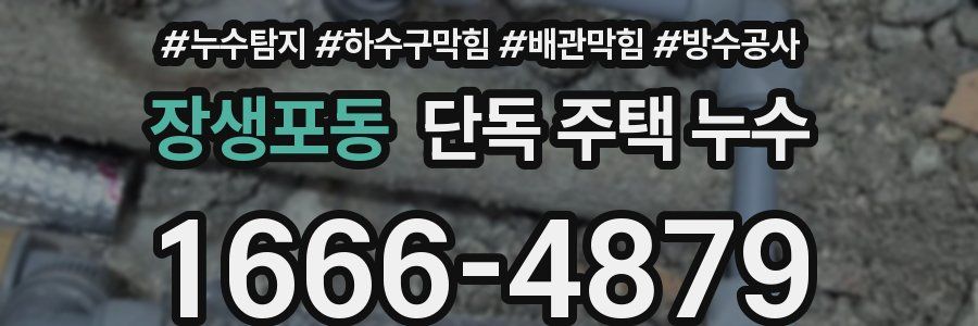 장생포동 단독 주택 누수