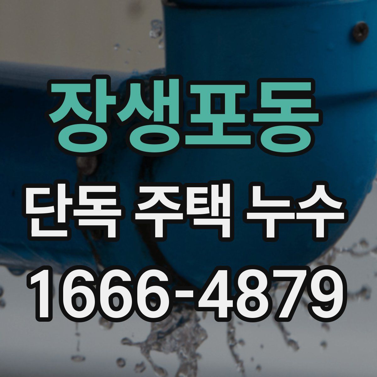 장생포동 단독 주택 누수
