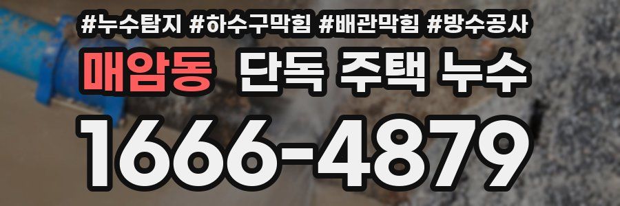 매암동 단독 주택 누수