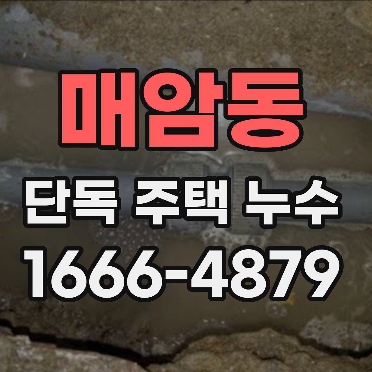 매암동 단독 주택 누수