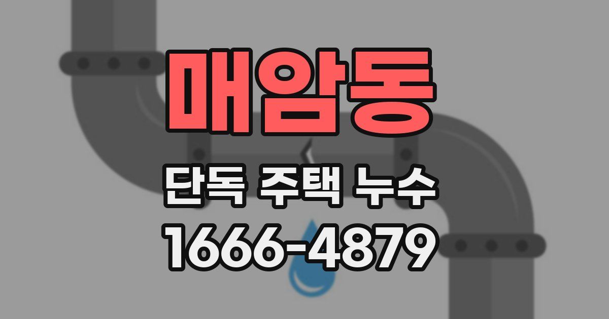 매암동 단독 주택 누수
