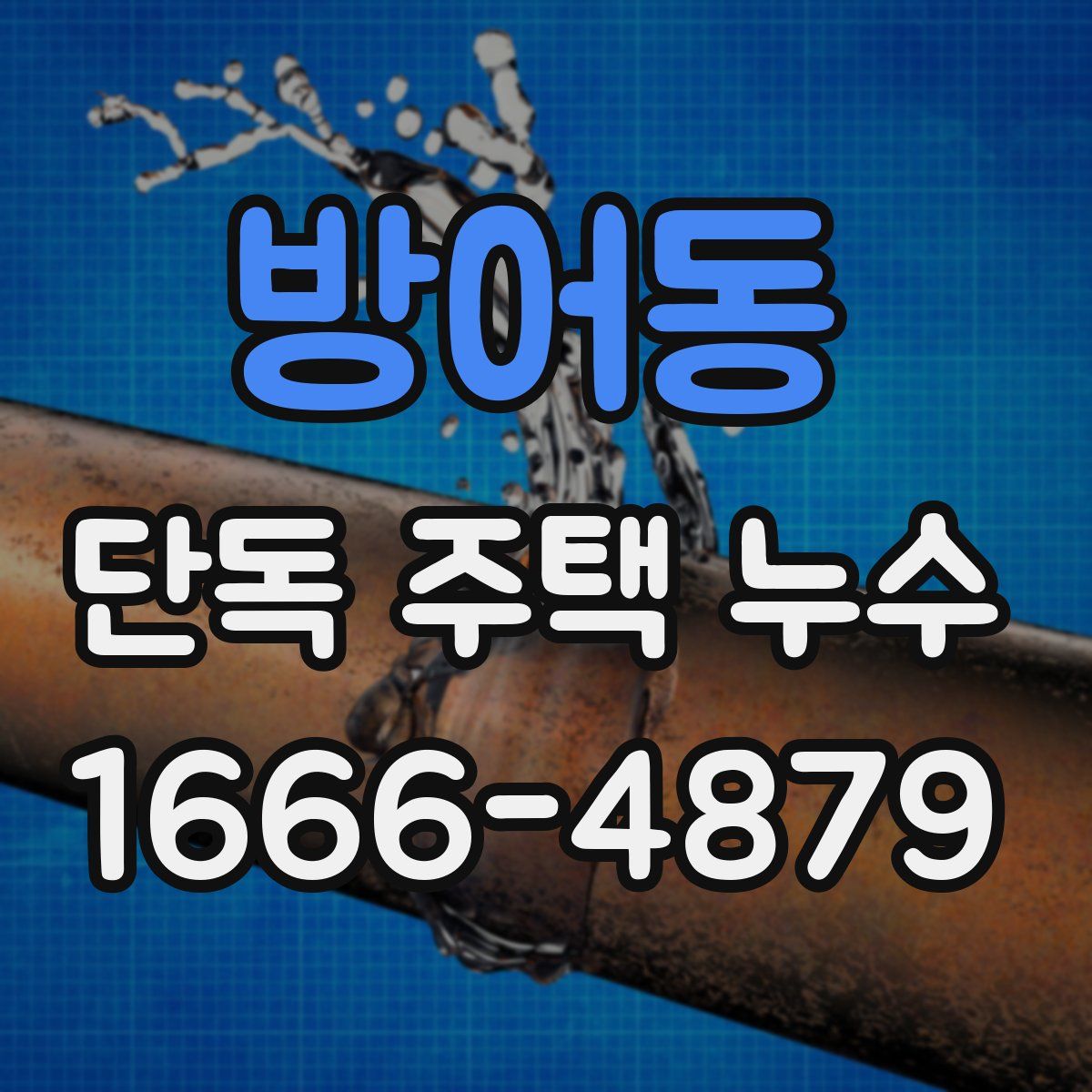방어동 단독 주택 누수