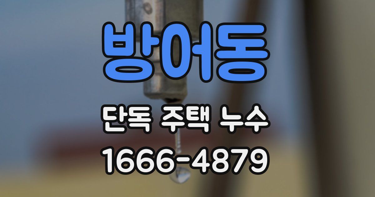 방어동 단독 주택 누수