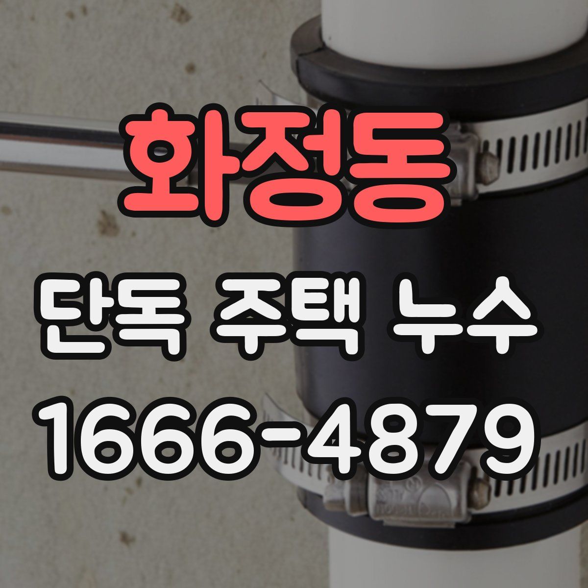 화정동 단독 주택 누수