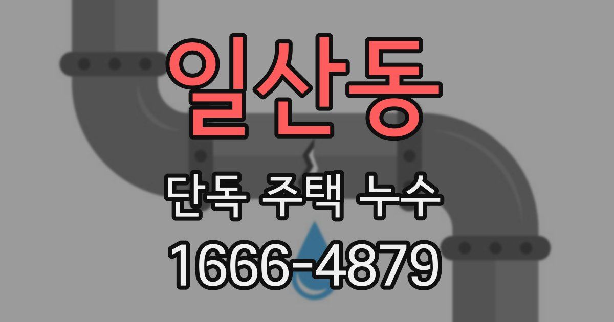 일산동 단독 주택 누수
