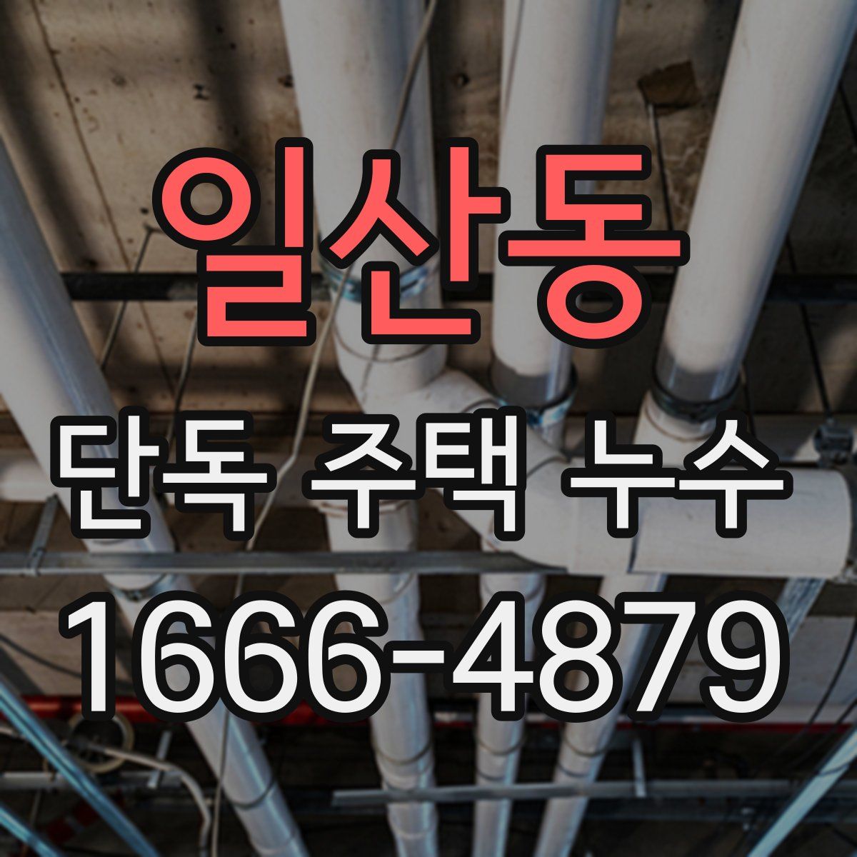 일산동 단독 주택 누수