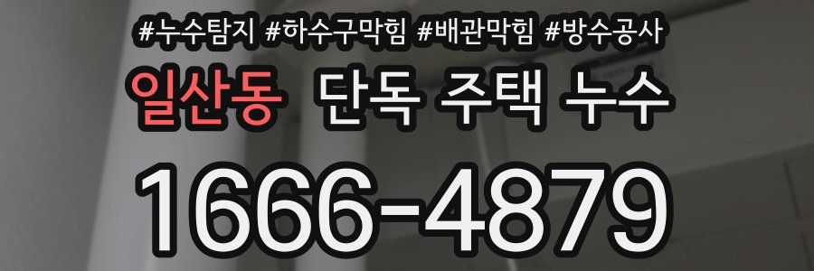 일산동 단독 주택 누수