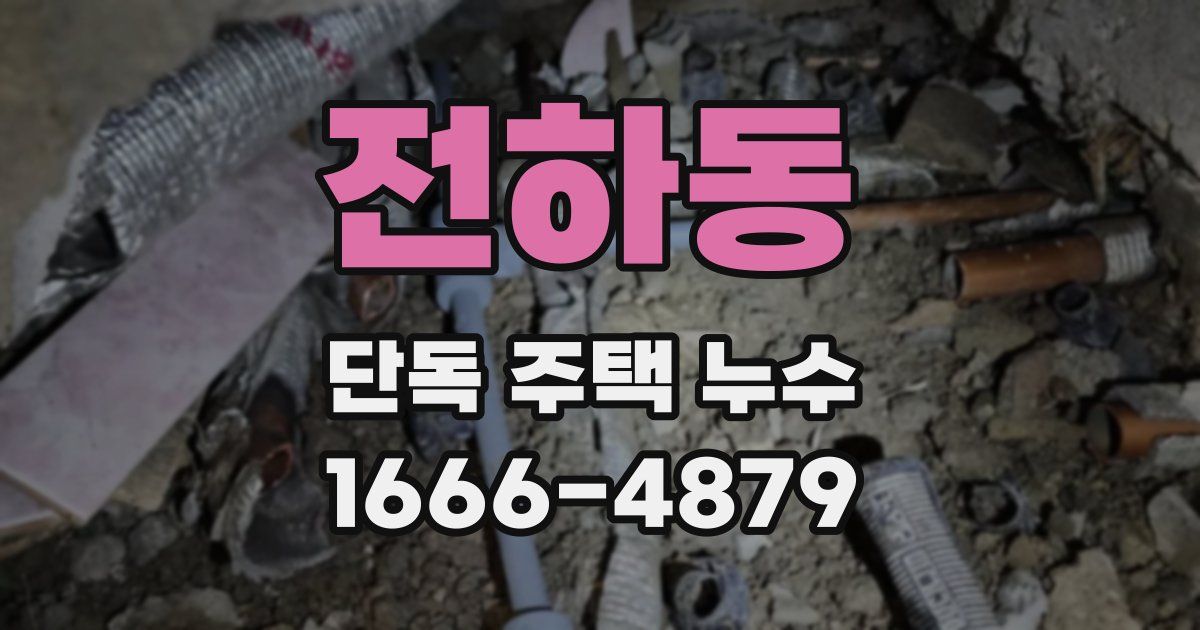 전하동 단독 주택 누수