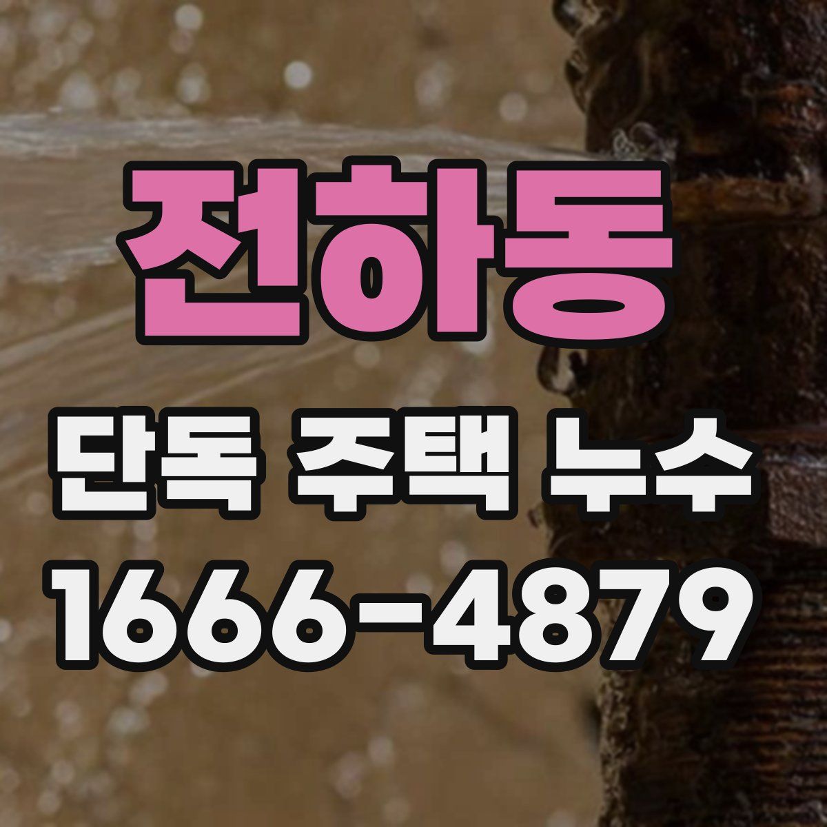 전하동 단독 주택 누수