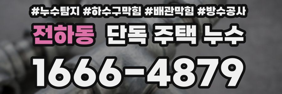 전하동 단독 주택 누수