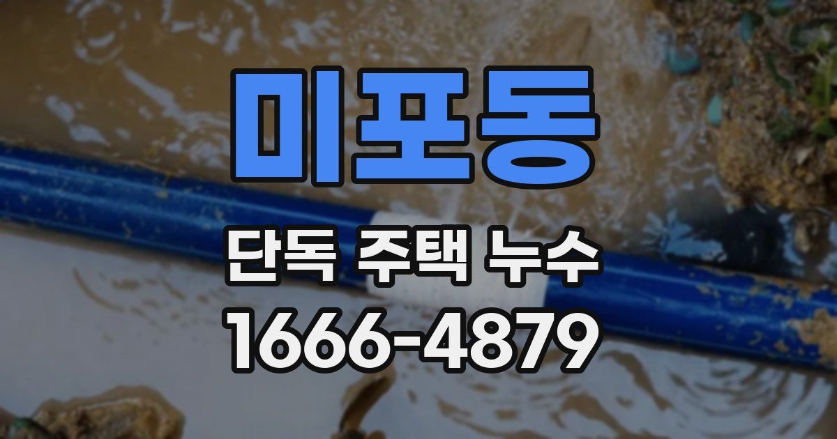 미포동 단독 주택 누수