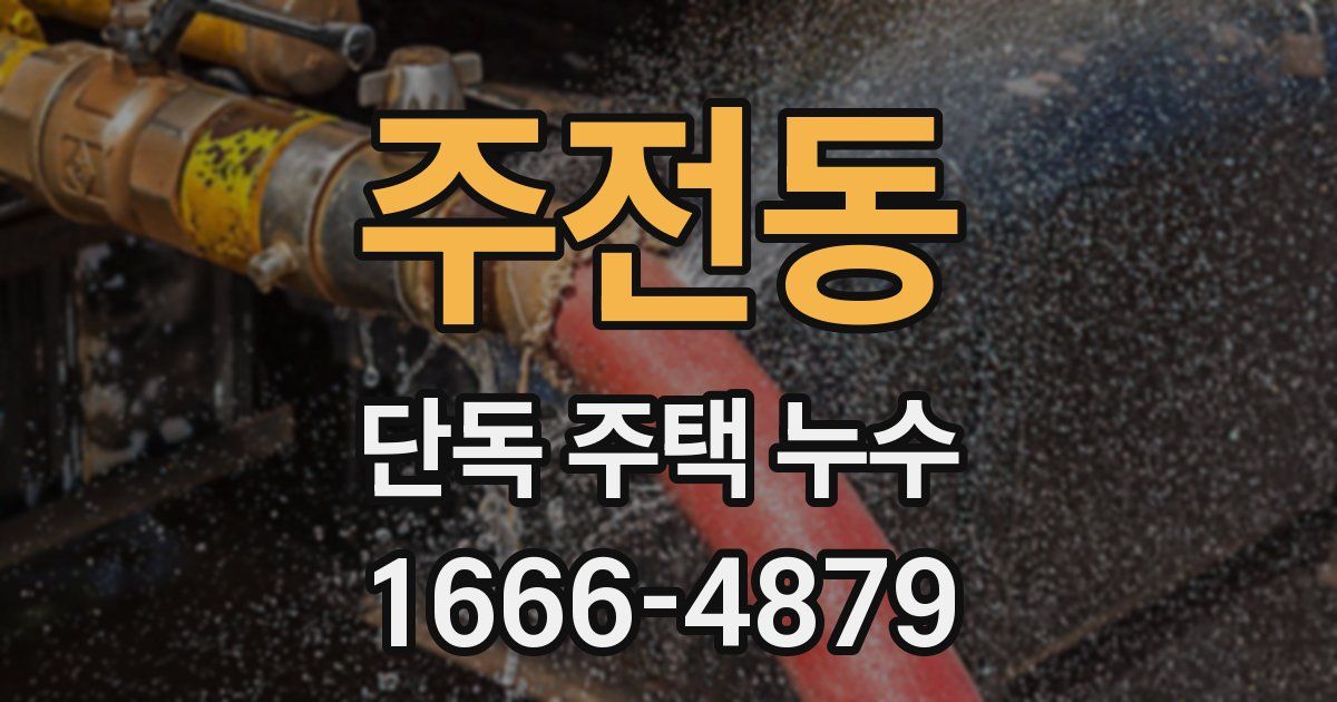 주전동 단독 주택 누수