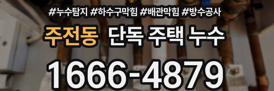 주전동 단독 주택 누수