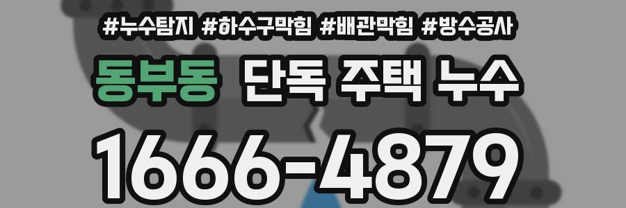 동부동 단독 주택 누수