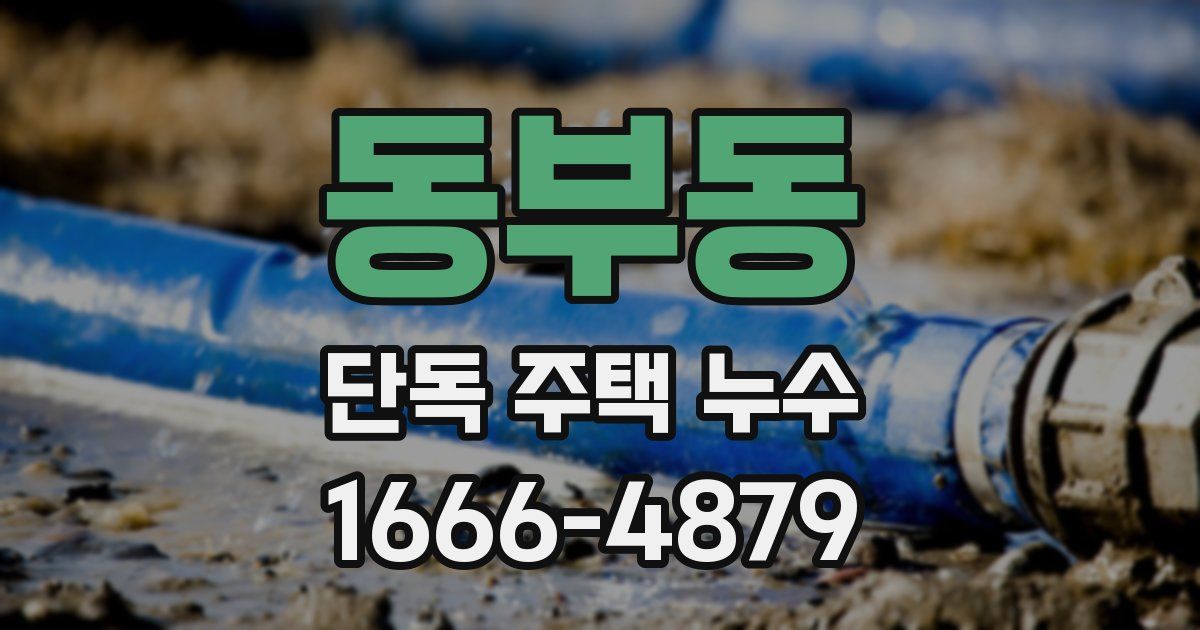 동부동 단독 주택 누수