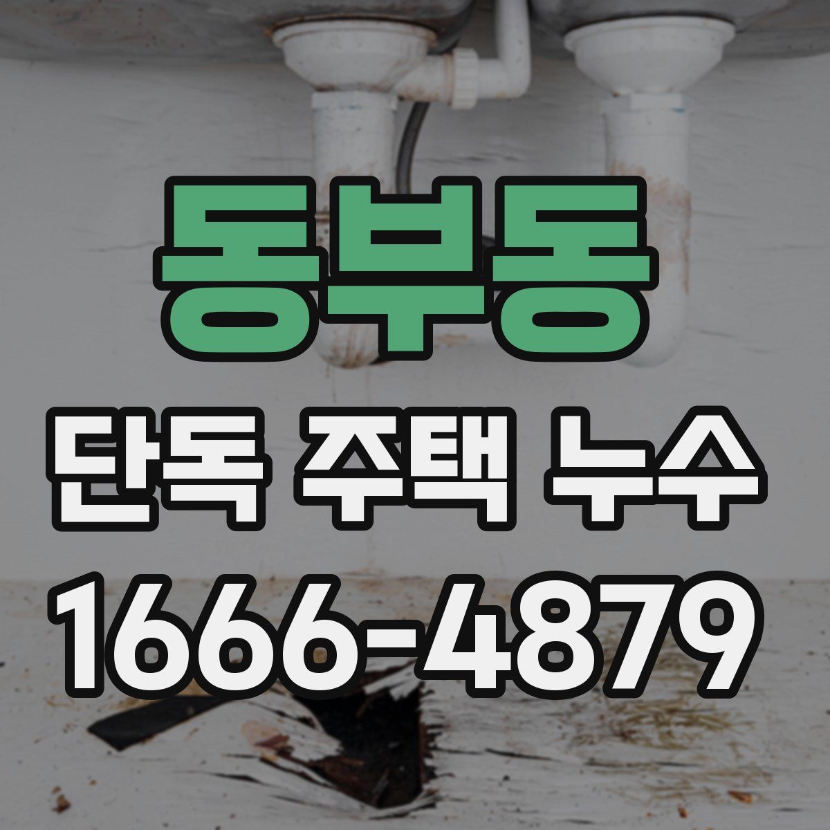동부동 단독 주택 누수