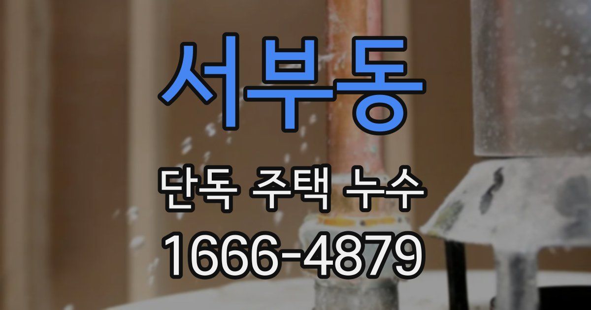 서부동 단독 주택 누수