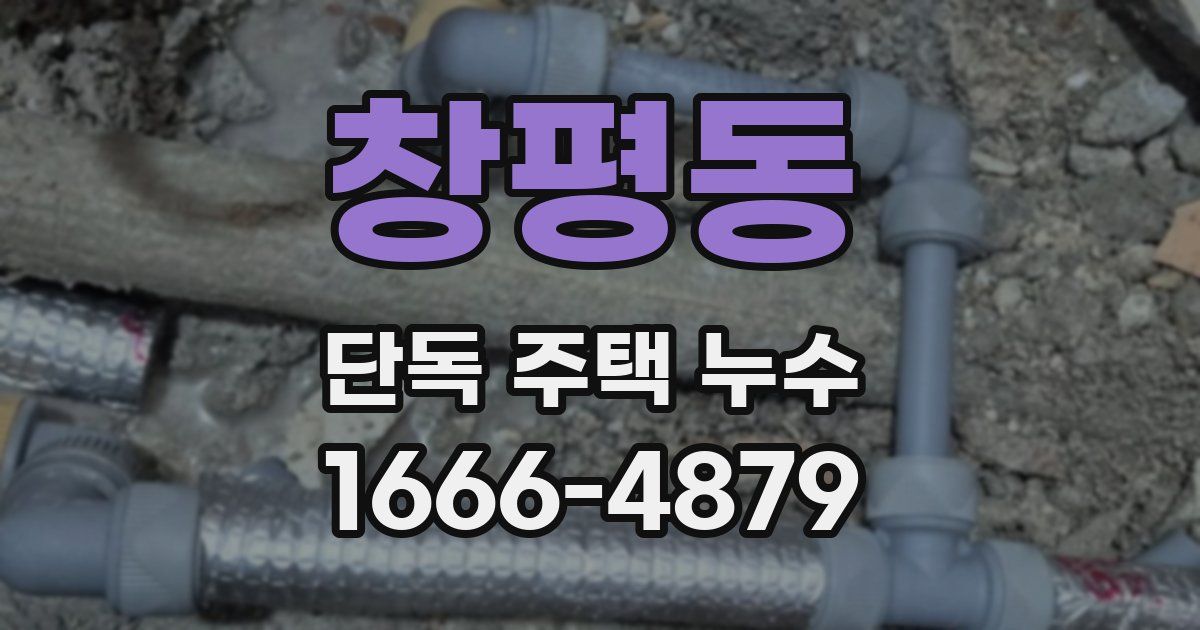 창평동 단독 주택 누수