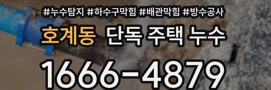 호계동 단독 주택 누수