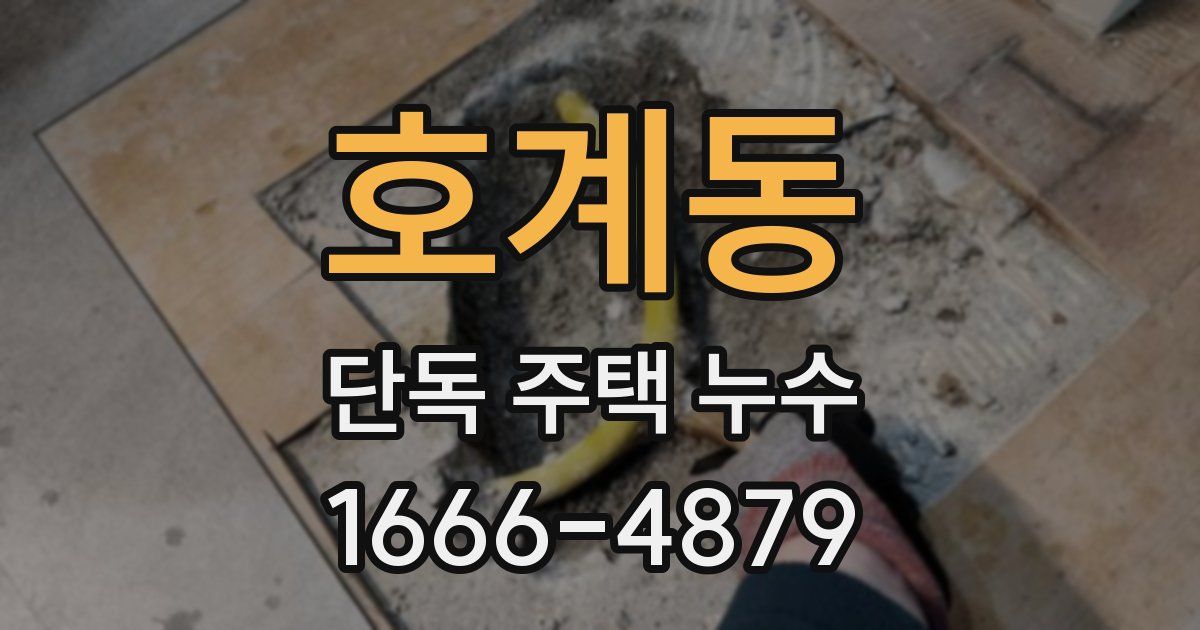 호계동 단독 주택 누수