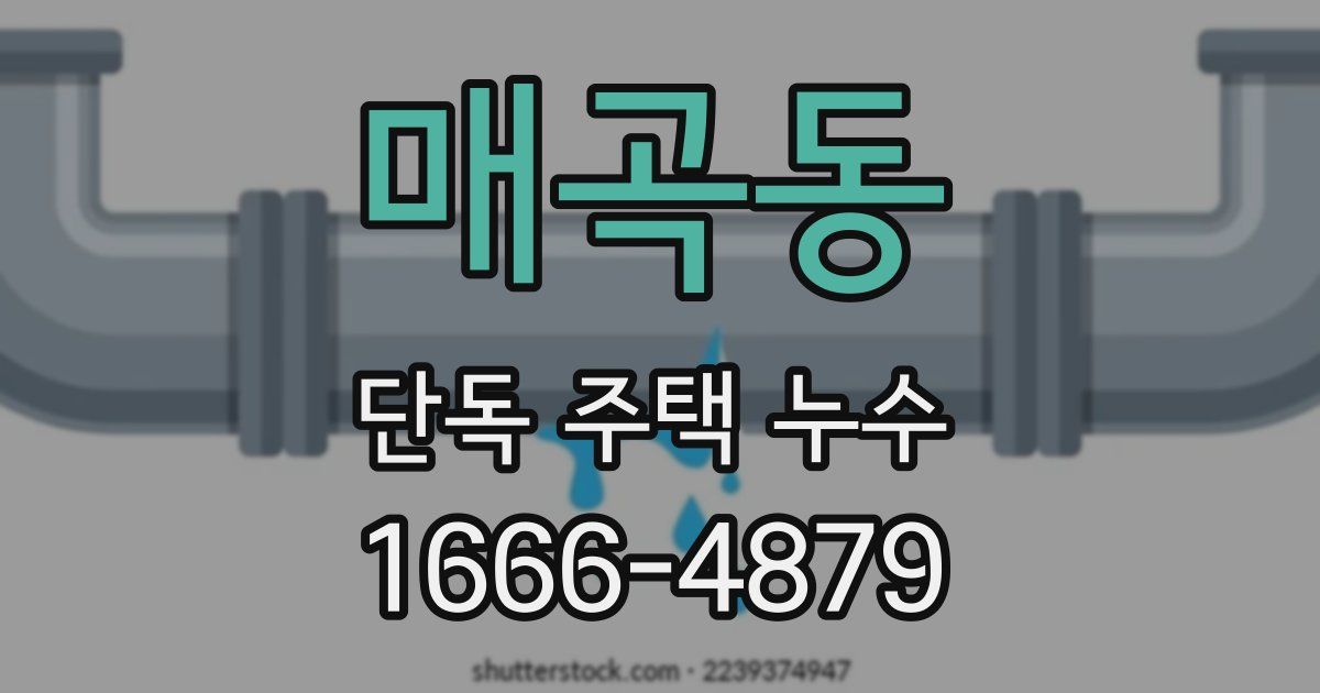 매곡동 단독 주택 누수