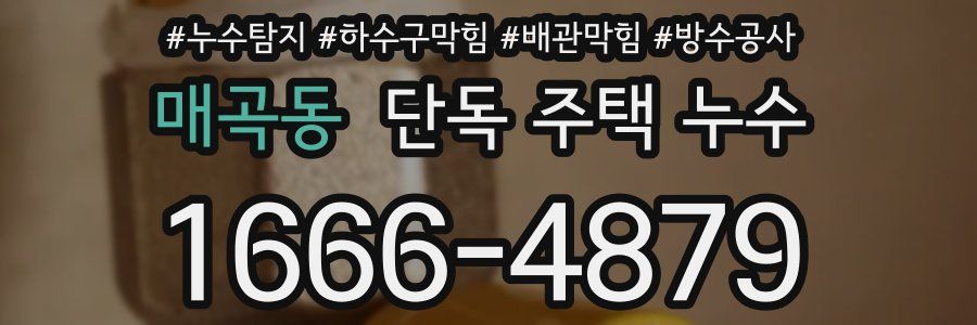 매곡동 단독 주택 누수