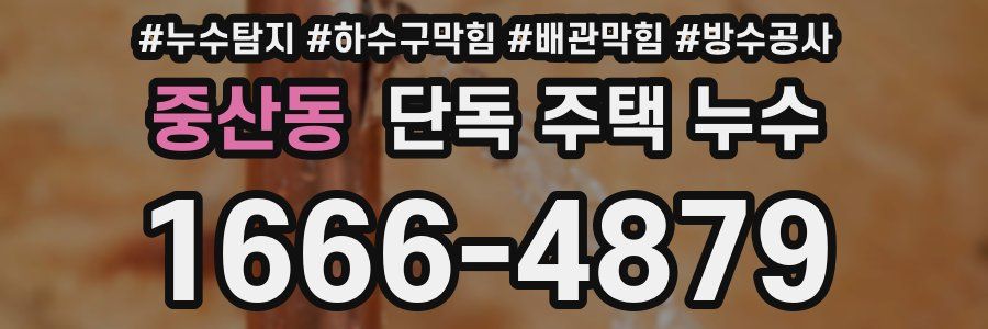 중산동 단독 주택 누수