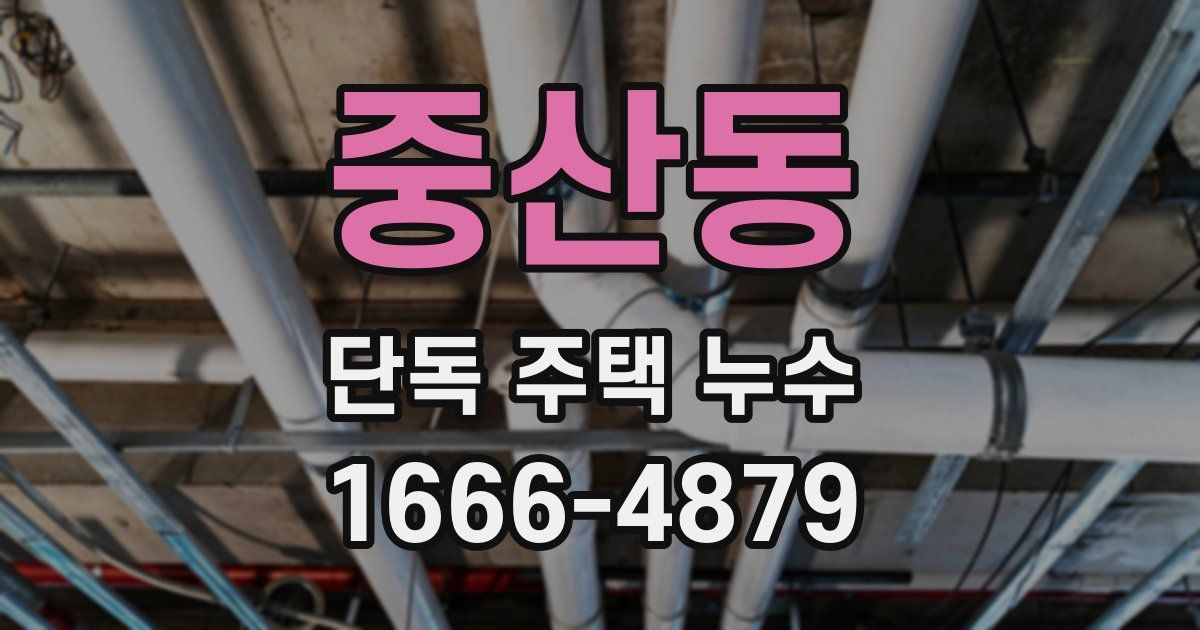 중산동 단독 주택 누수